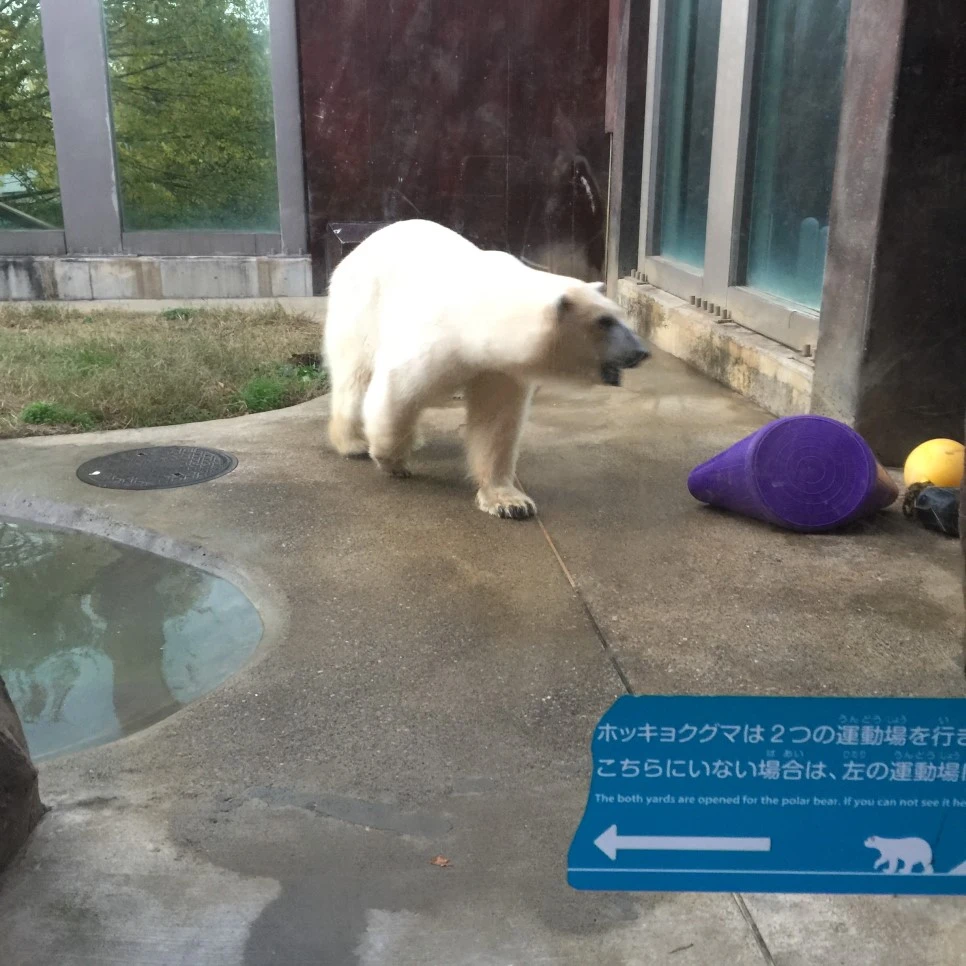 IMG_5787.JPG?type=w966