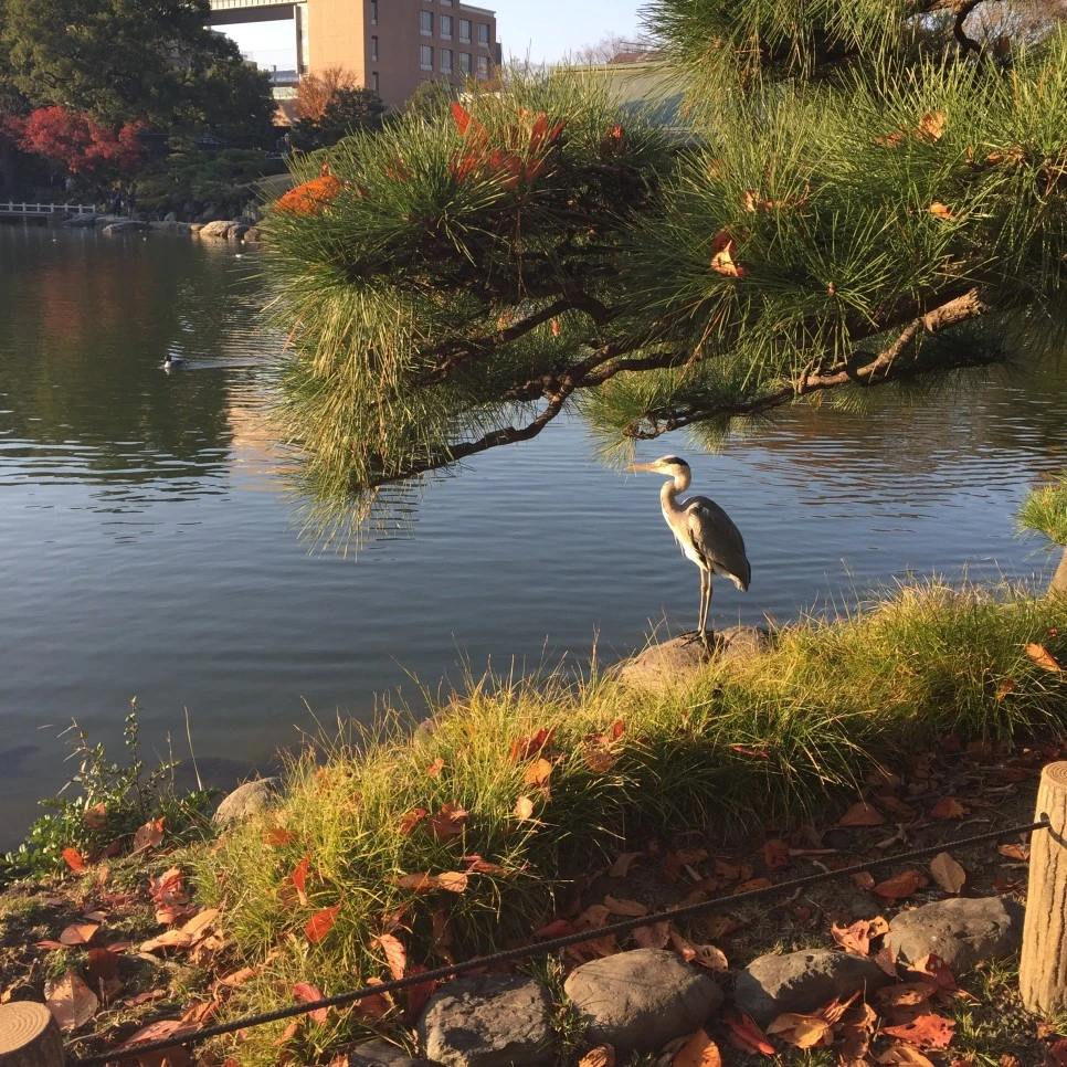 IMG_5436.jpg?type=w966