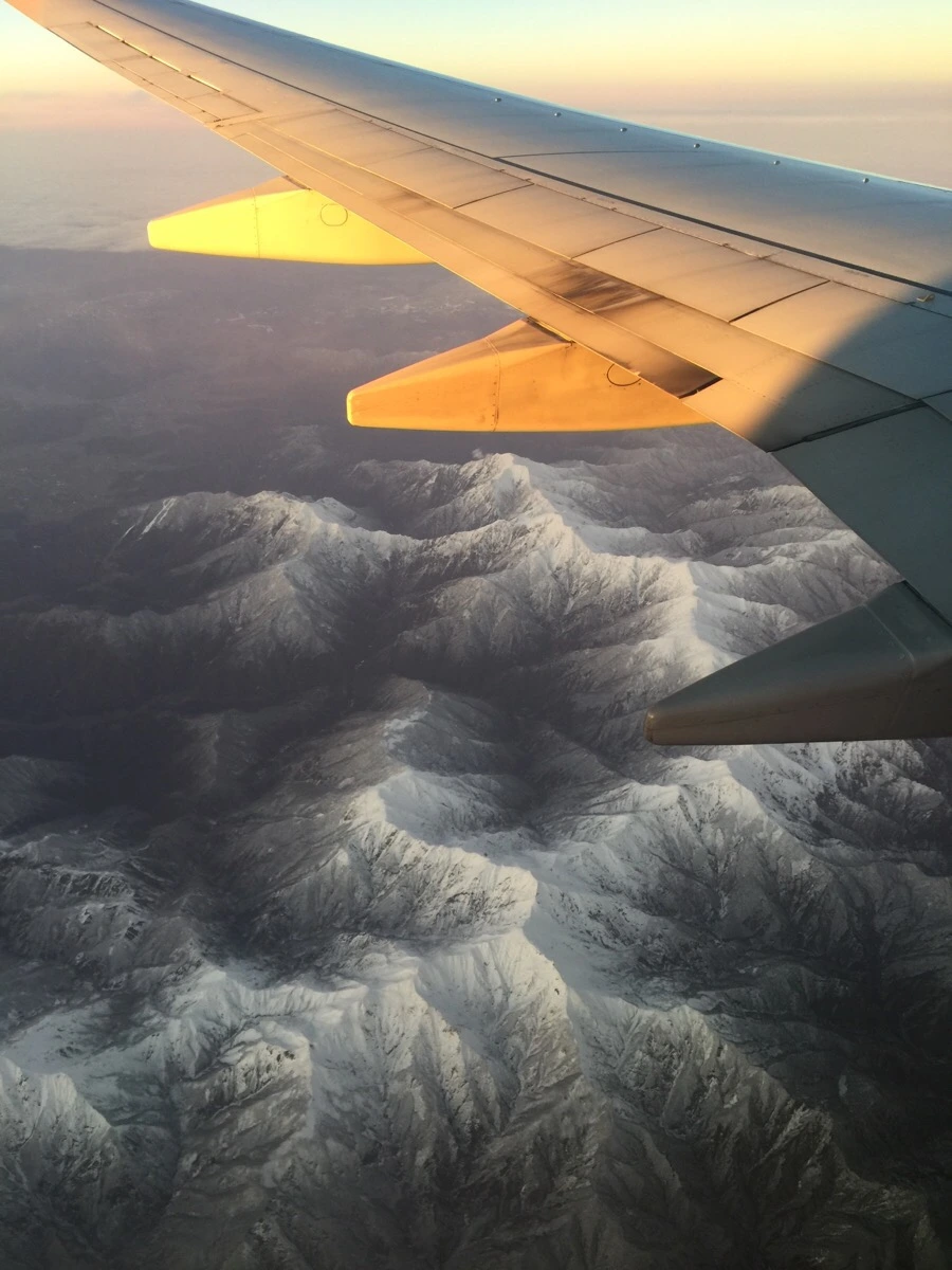 IMG_5358.jpg?type=w966