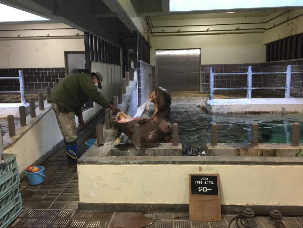 IMG_5753.JPG?type=w966