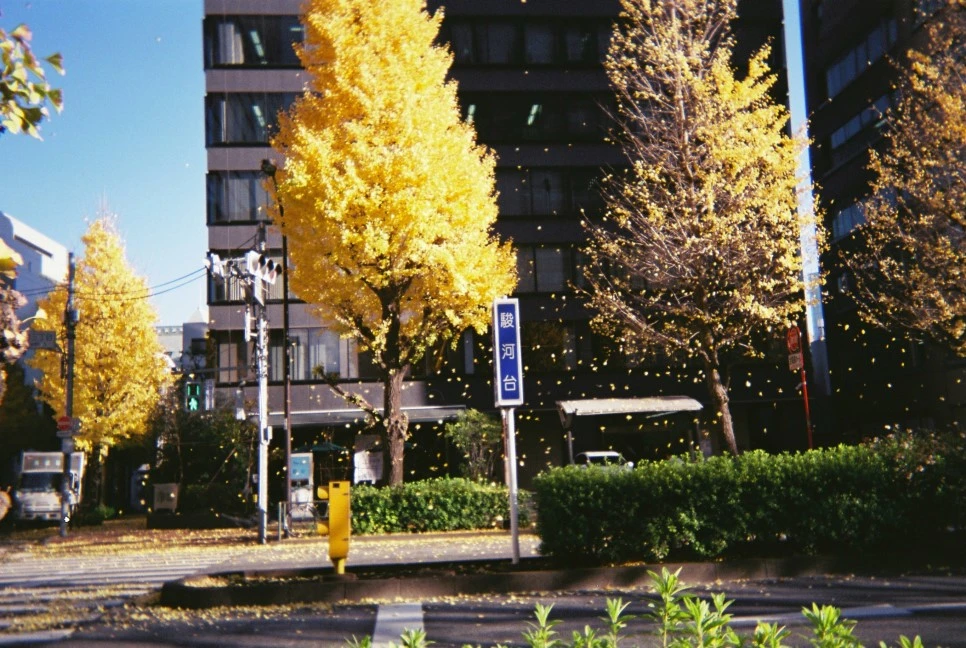 000021.JPG?type=w966