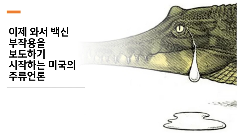 악어의 눈물.PNG