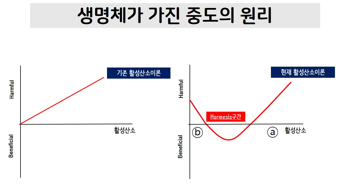 중도의 원리.PNG