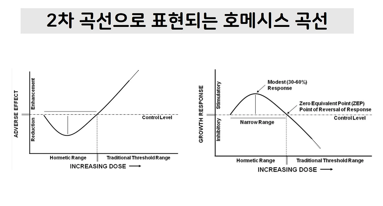 용량반응2.PNG
