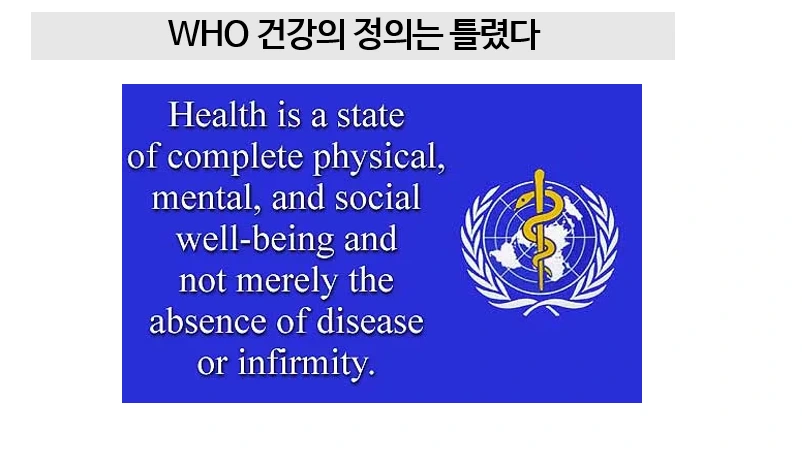 WHO 건강.PNG