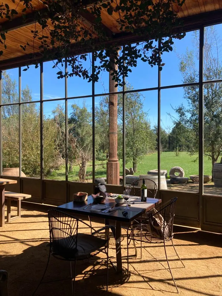 WhatsApp Image 2023-09-02 at 17.20.00.jpeg