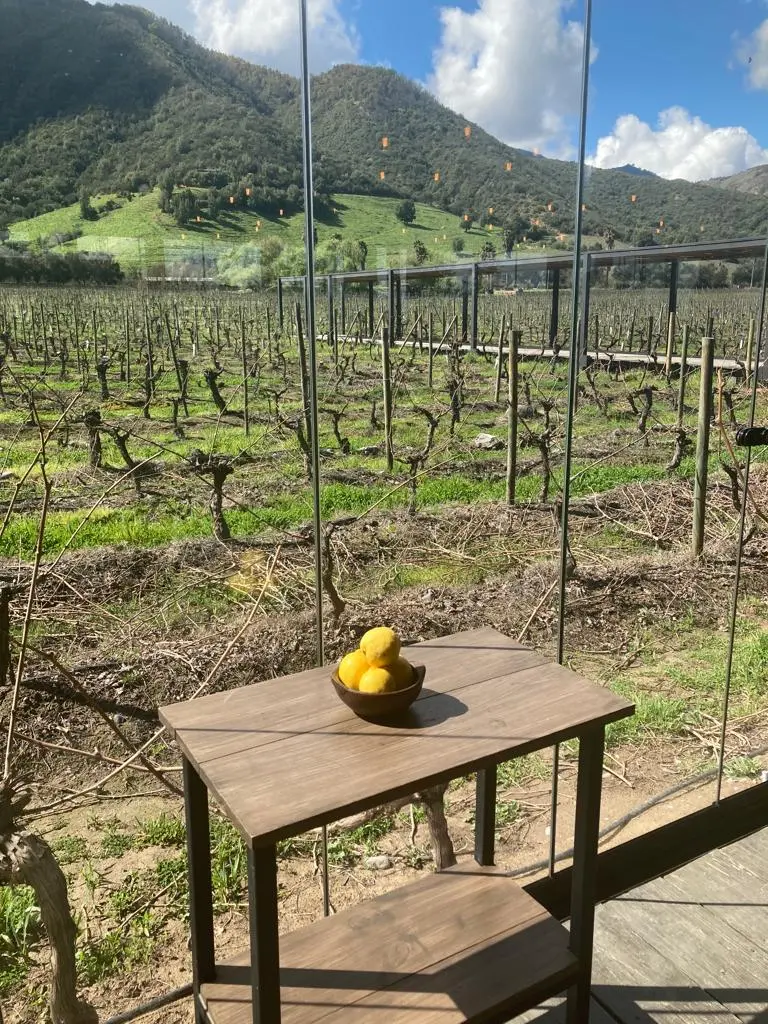 WhatsApp Image 2022-09-11 at 6.27.53 PM (4).jpeg