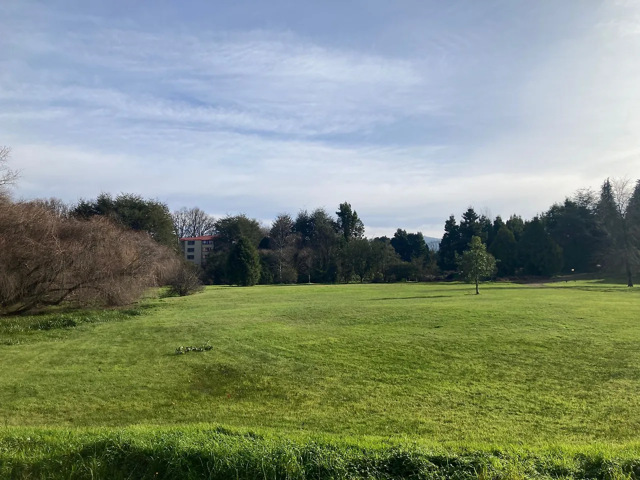 WhatsApp Image 2023-07-23 at 15.18.58.jpeg