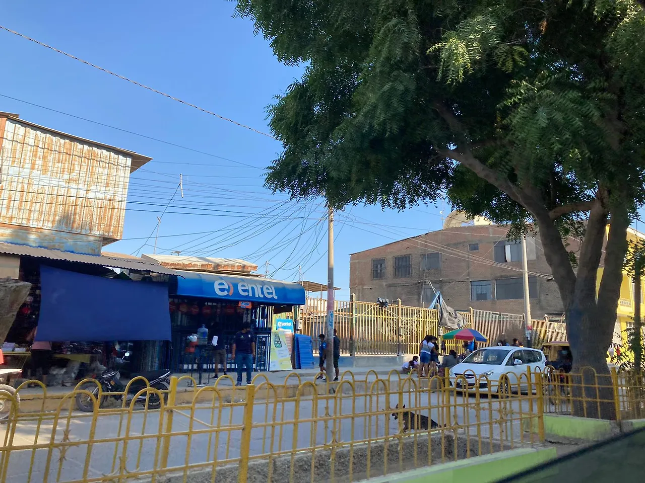 WhatsApp Image 2022-03-13 at 4.43.47 PM.jpeg