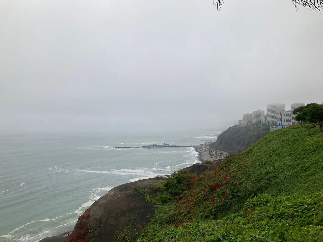 WhatsApp Image 2022-03-13 at 4.43.53 PM.jpeg