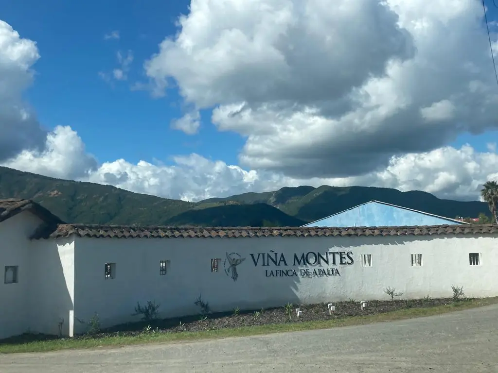 WhatsApp Image 2022-09-11 at 6.27.53 PM.jpeg