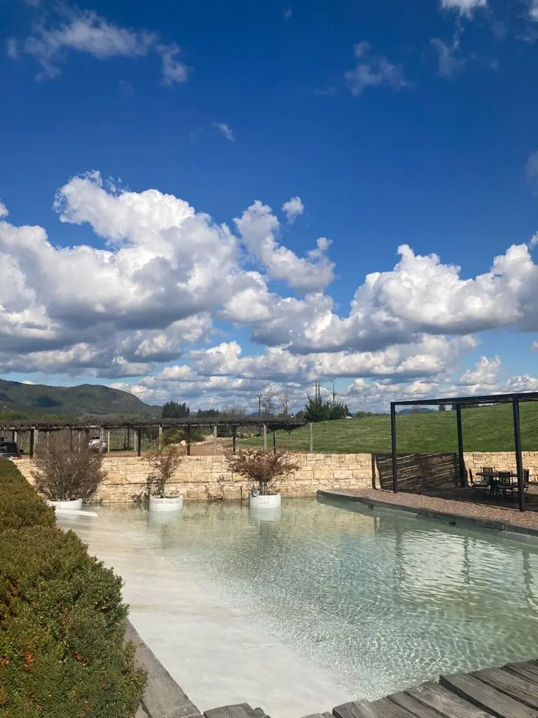 WhatsApp Image 2022-09-11 at 6.27.53 PM (6).jpeg