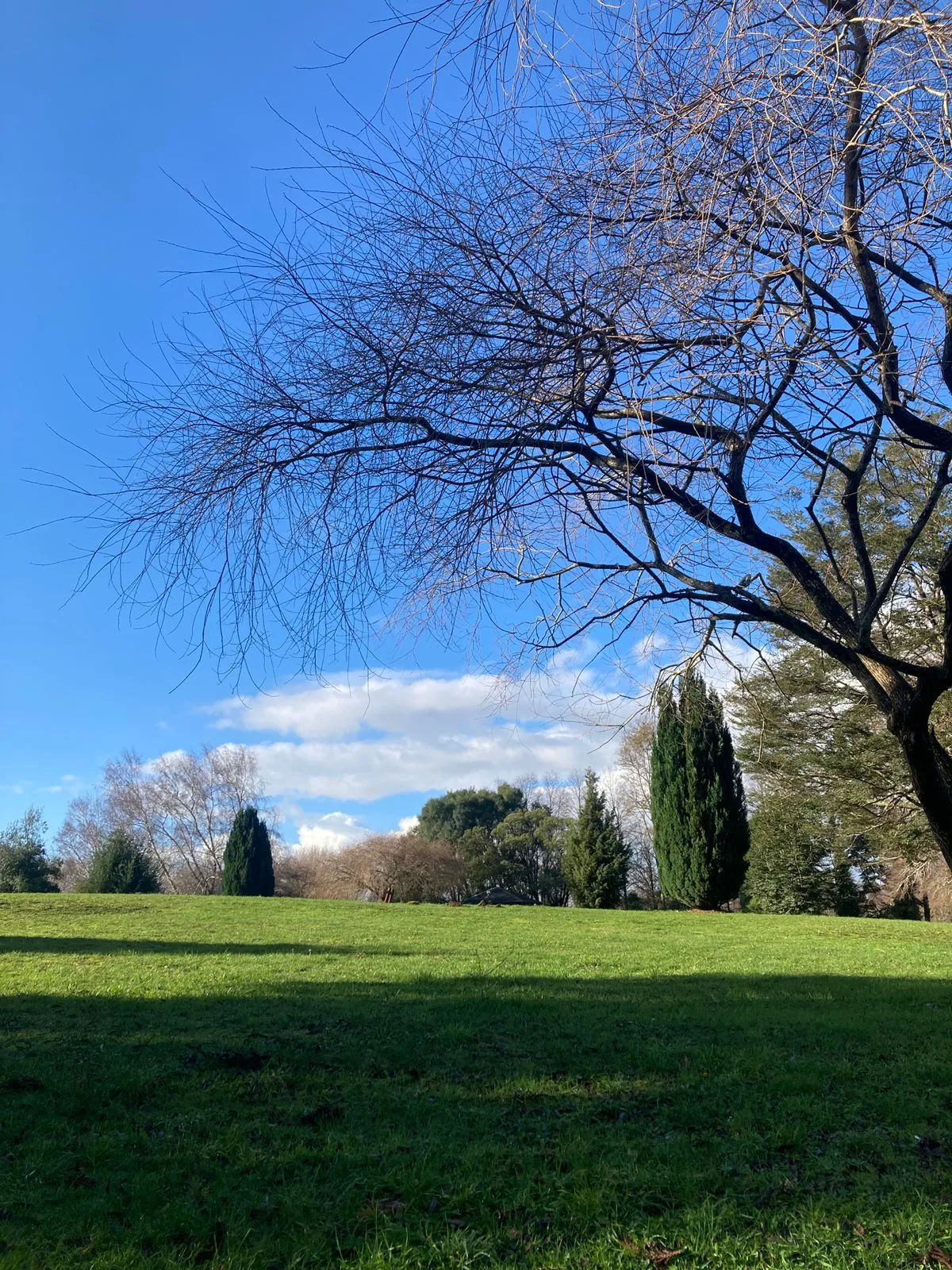 WhatsApp Image 2023-07-23 at 15.19.00.jpeg