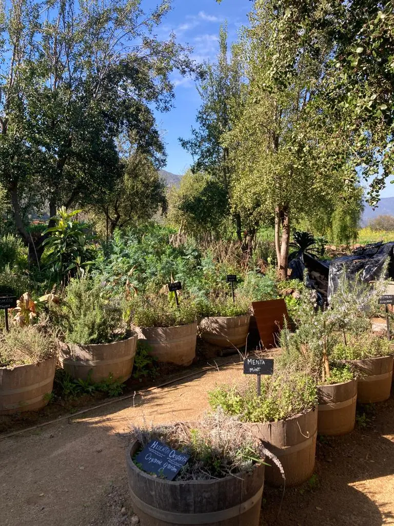 WhatsApp Image 2023-09-02 at 17.20.00 (1).jpeg