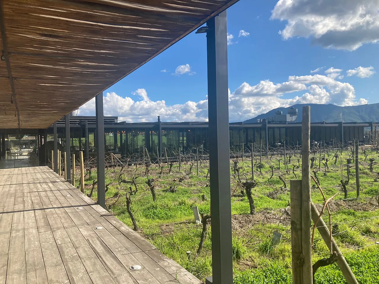 WhatsApp Image 2022-09-11 at 6.45.49 PM.jpeg