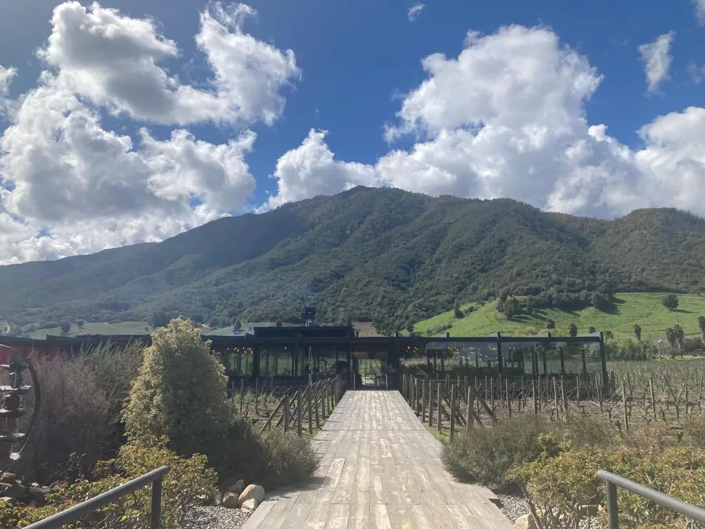 WhatsApp Image 2022-09-11 at 6.27.53 PM (3).jpeg