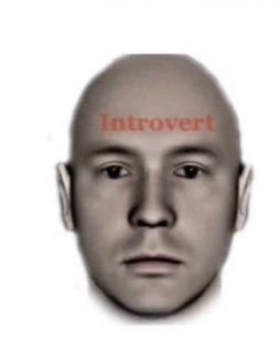 59b7f6a91465df85b32c6fb6d90e6189659b8f7b.jfif