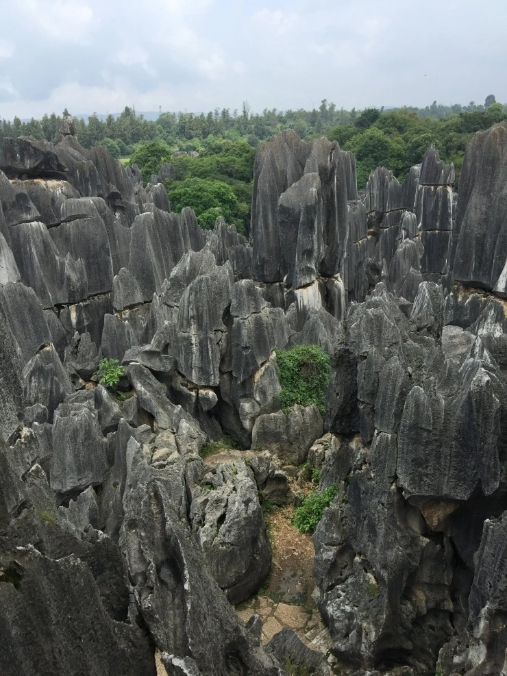 IMG_2297.jpg?type=w1