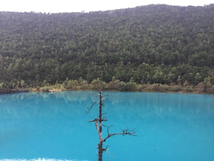 IMG_2693.jpg?type=w1