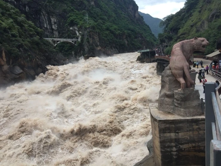 IMG_3080.jpg?type=w1