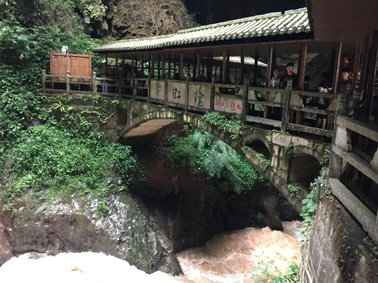 IMG_2349.jpg?type=w1