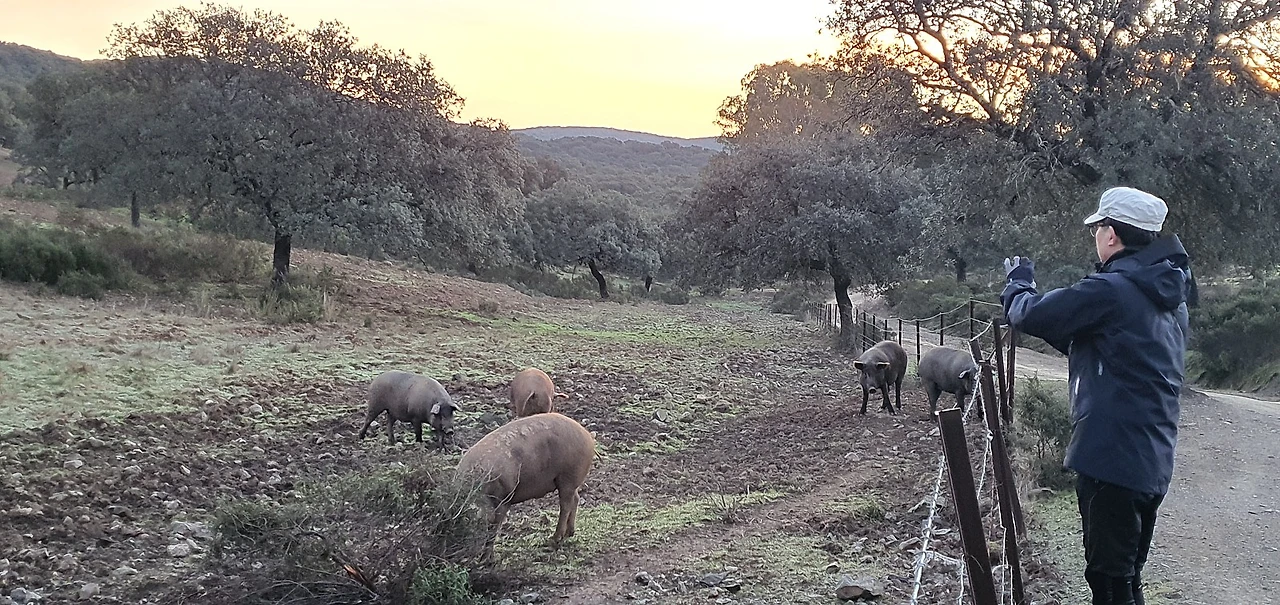 IMG_1148.JPG?type=w1600