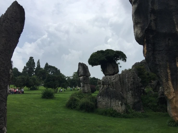 IMG_2314.jpg?type=w1