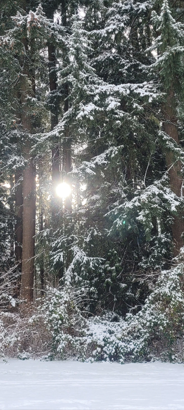 KakaoTalk_Photo_2022-12-24-19-43-03 003.jpeg