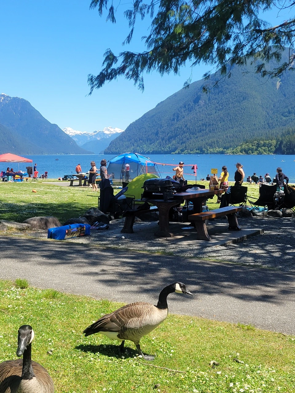 KakaoTalk_Photo_2021-07-10-11-01-08 008.jpeg