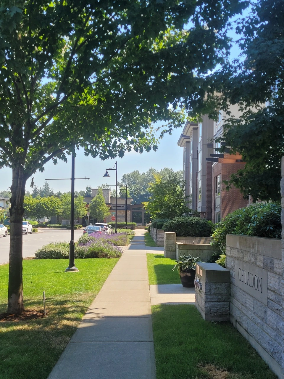 KakaoTalk_Photo_2021-07-10-11-00-54 002.jpeg