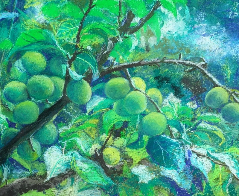 c8157666d49266e1fdb740ae88fbfd5b577563d9