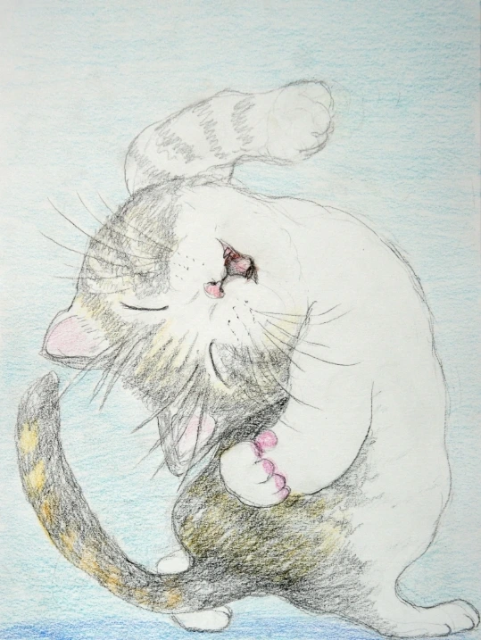 똥 싸는 고양이.jfif