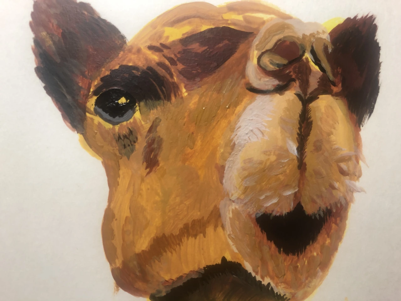 1c56124cb82ded45763886bbefa0428f4054bf25