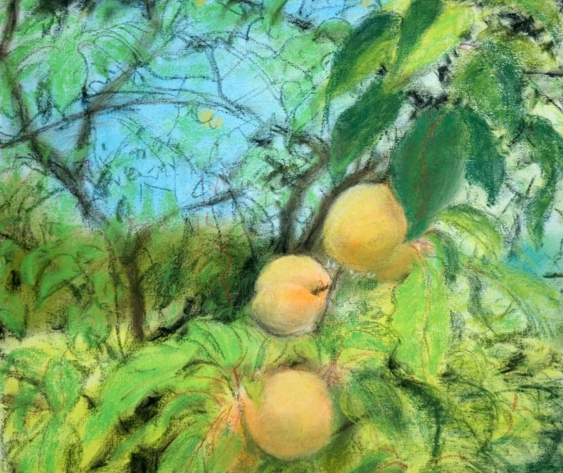 1e1e5b940f77570a87a3fca30027f015a9e62b85