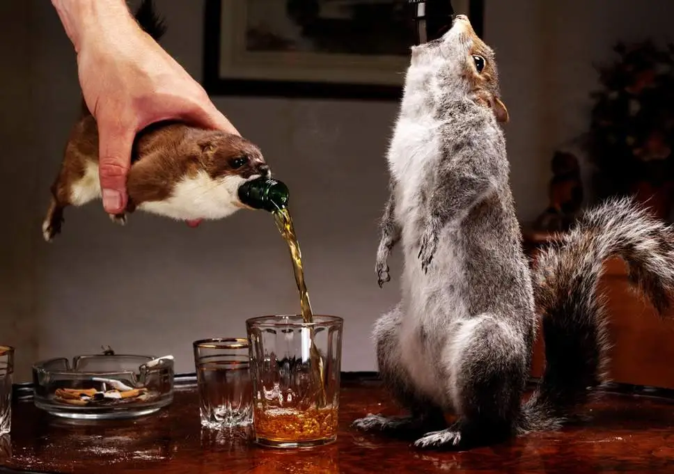 brew-dog.jpg?w968h681