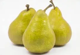 %EC%84%9C%EC%96%91%EB%B0%B0.jpeg?type=w773