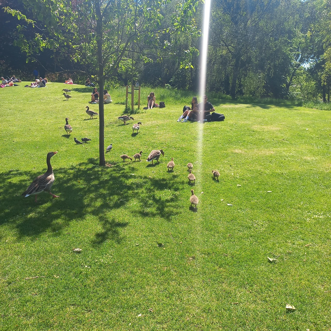 2.park5.JPG?type=w3840