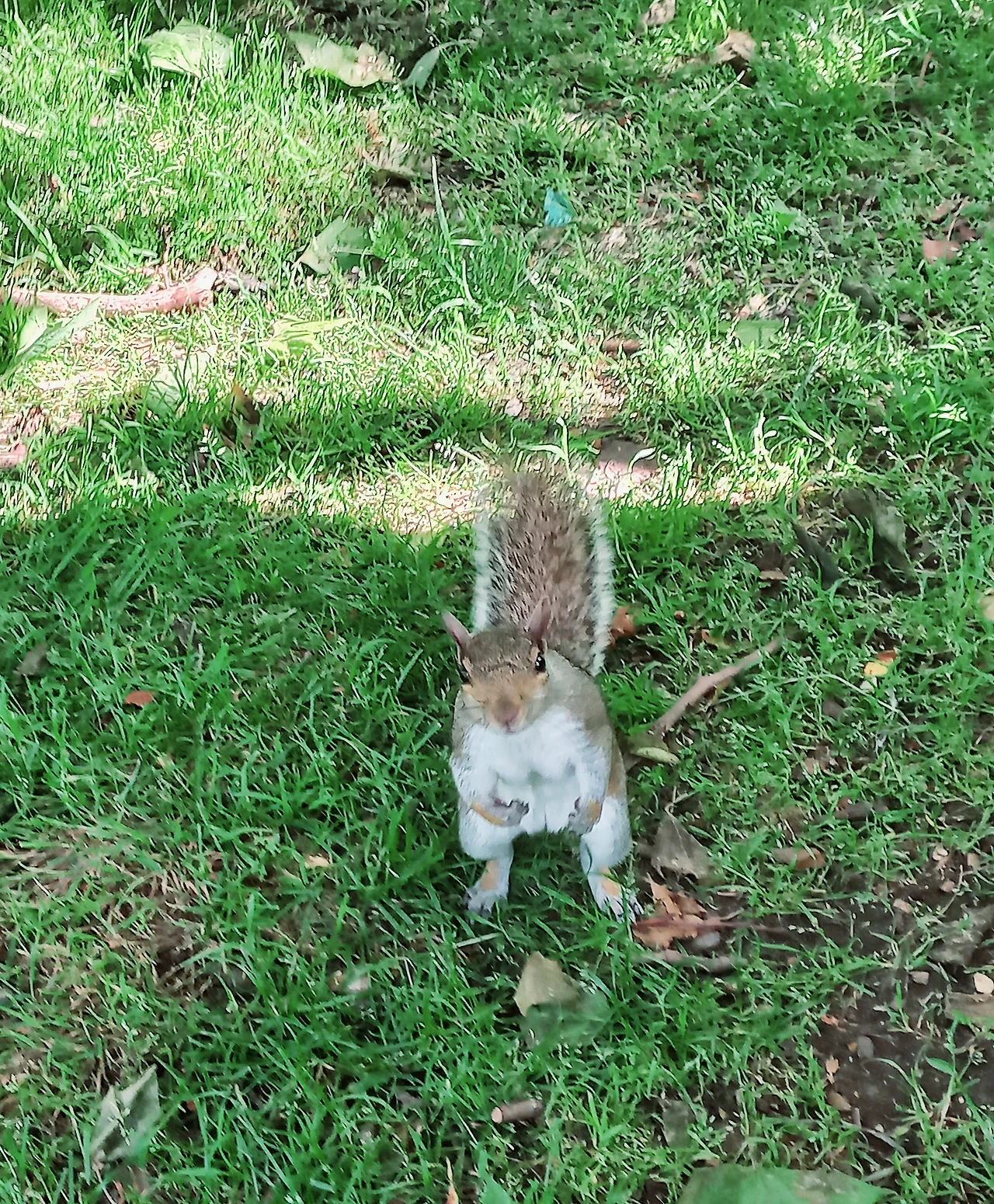 9.Tavistock_Square_Gardens2.JPG?type=w3840