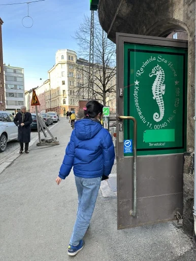 6seahorse.jpg?type=w386