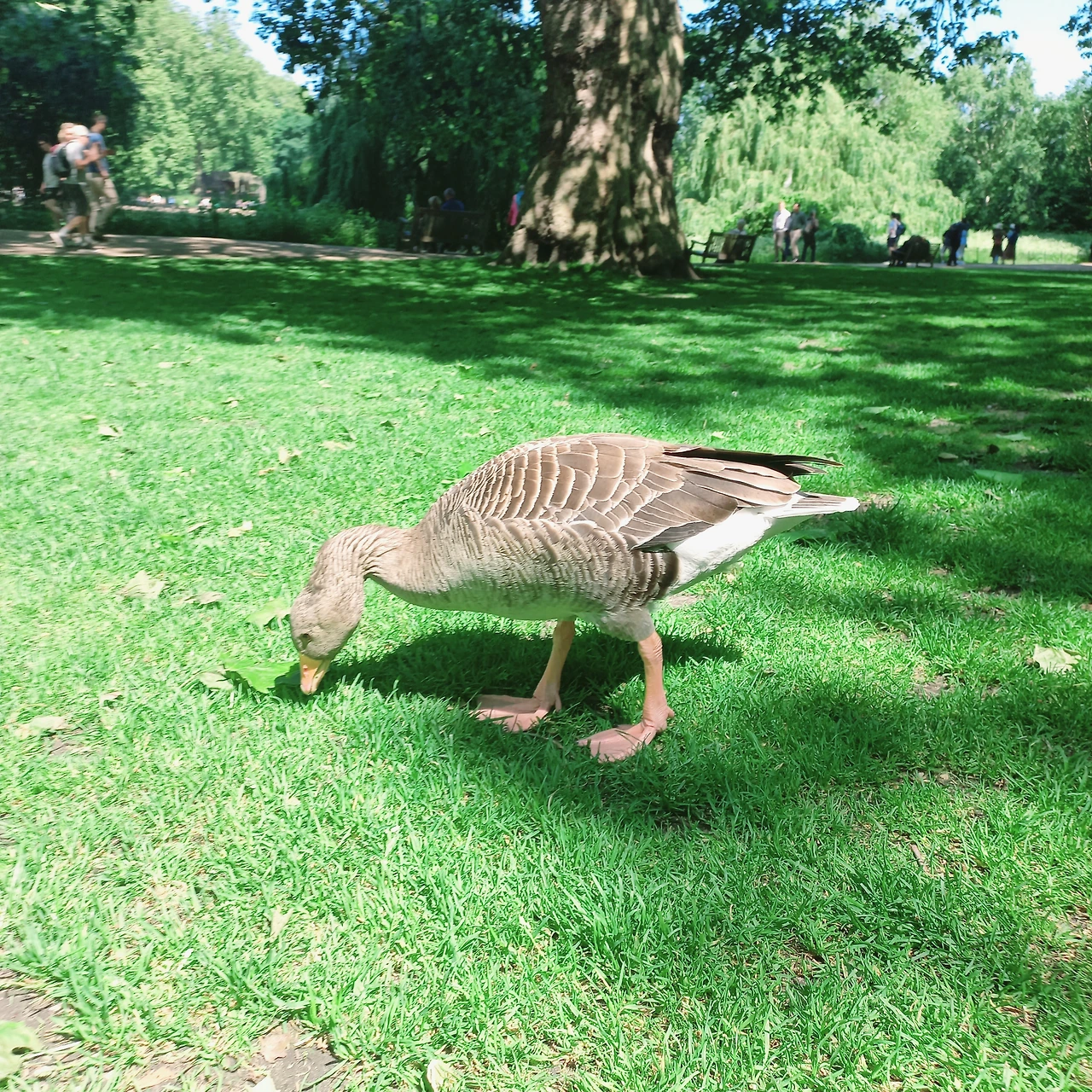 2,park1.JPG?type=w3840