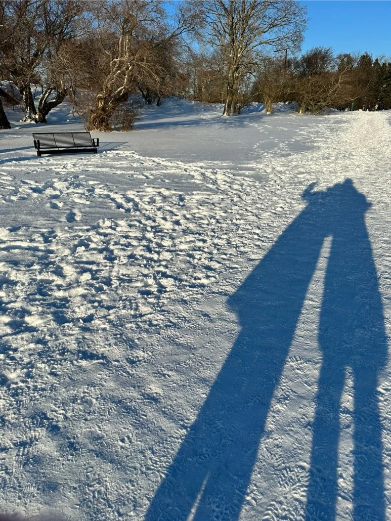 %ED%95%80%EB%9E%80%EB%93%9C-%EA%B2%A8%EC%9A%B8-%EB%B0%94%EB%8B%A4%EA%B1%B7%EA%B8%B0-%EC%9E%90%EC%97%B0-%EC%95%84%EC%9D%B4%EC%99%80%ED%95%A8%EA%BB%98.jpg?type=w773