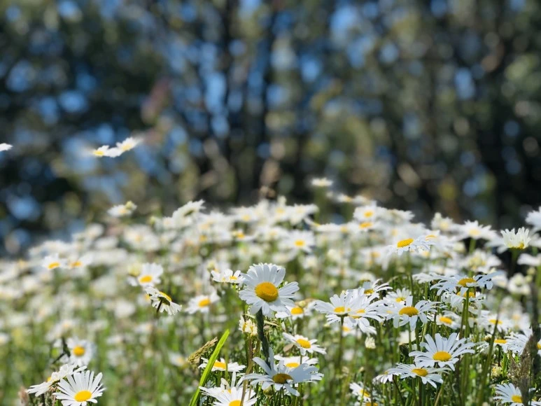 IMG_8064.jpg?type=w773