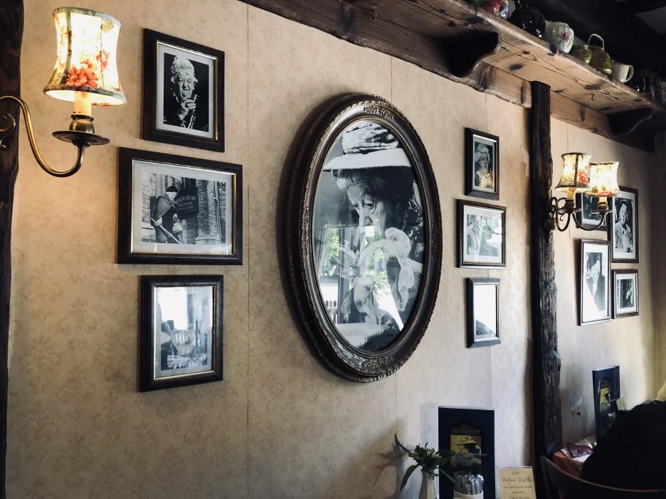 IMG_6376.jpg?type=w1