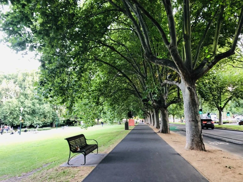 IMG_8009.jpg?type=w773