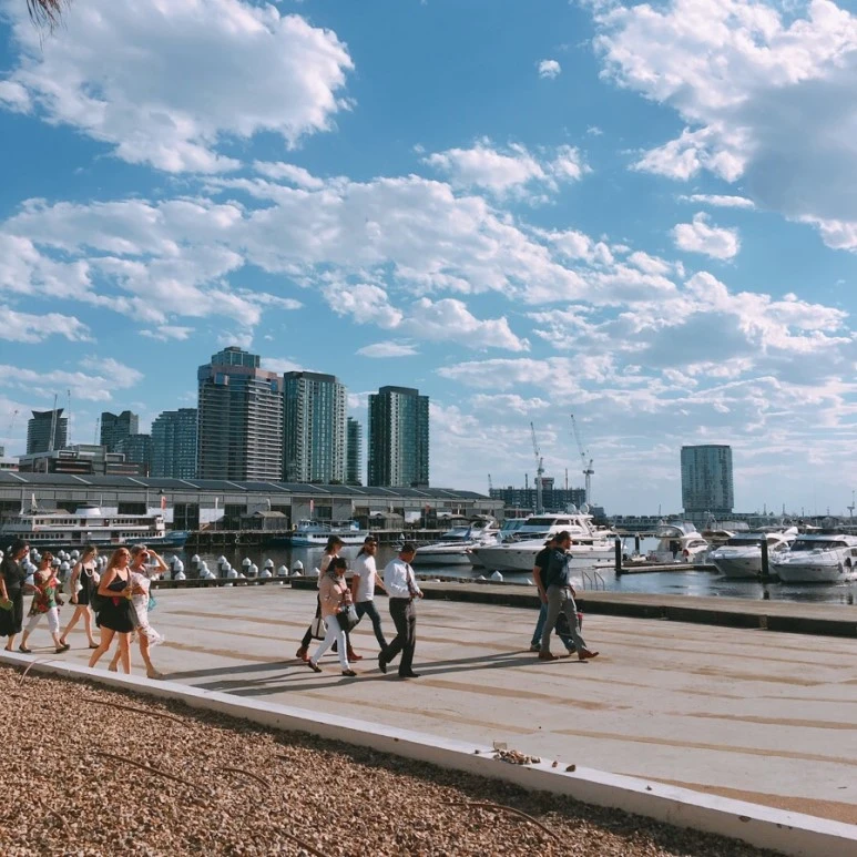 IMG_8044.jpg?type=w773