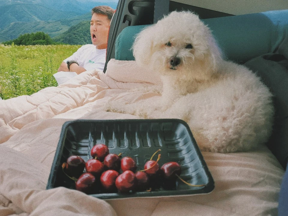 KakaoTalk_20200715_105136461_05.jpg?type=w966