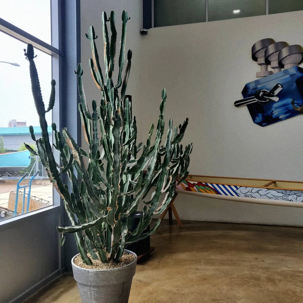 KakaoTalk_20210817_125636490_09.jpg?type=w966