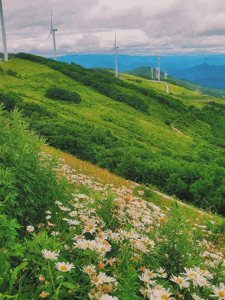 KakaoTalk_20200715_105111425_17.jpg?type=w966