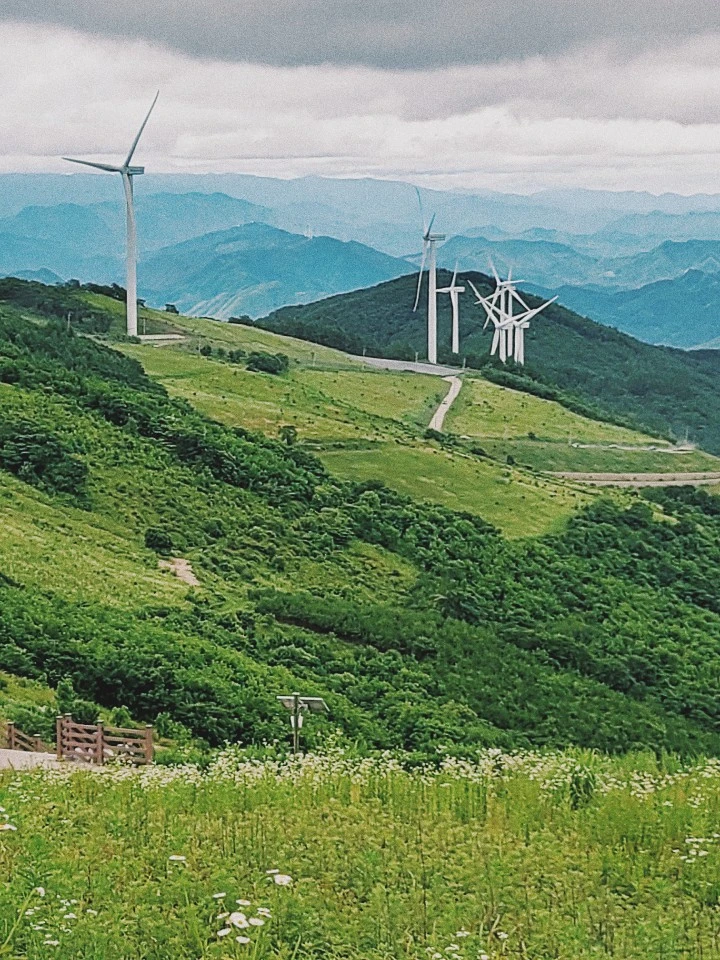 KakaoTalk_20200715_105111425_16.jpg?type=w966