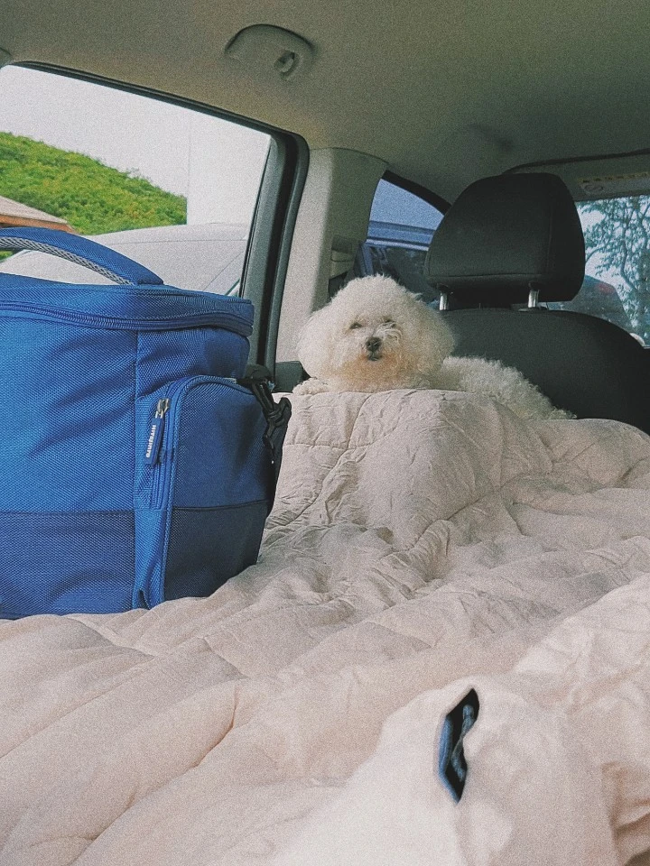 KakaoTalk_20200715_105111425_25.jpg?type=w966